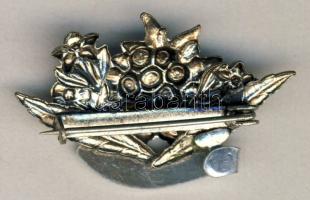 Osztrák turista jelvény T:1