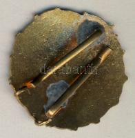 Zománcozott ejtőernyős kitüntetés T:2