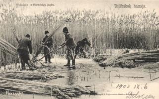 Hortobágy nádvágás a jégen