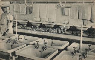 Debrecen Auguszta Szanatórium mosdó