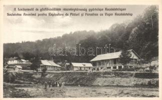 Kecskéstelep (Szeged) a fakitermelő- és gőzfűrészüzem részvénytársaság gyártelepe