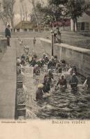 Hévíz birkaúsztatás