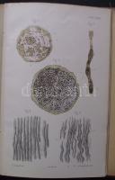 Charcot, J. M. Előadások az idegrendszer betegségeiről II. kötet, Bp., 1879. Magyar Orvosi Könyvkiadó-Társulat. Fametszetű illusztrációkkal és színnyomatú ábrákkal. Egészvászon kötésben (borító belül elvált de ép)