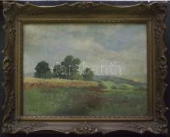 XX. sz. eleje Szentpályi jelzéssel: Tavaszi mező, olaj-karton, jelzett, szép keretben 38x50 cm