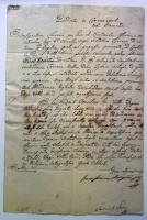 1804 Helytartótanácsi ex offo levél Mednyánszky János báró, Bécs-hű főúr és Lányi Sámuel saját kezű aláírásával