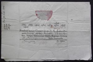 1815 Helytartótanácsi leirat Mednyánszky János báró, Bécs-hű főúr és Lányi Sámuel saját kezű aláírás...