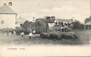 Hortobágy tanya