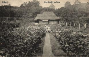 Kibéd beekeeper farm