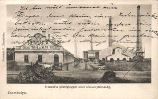 Zsombolya Hungária brick factory