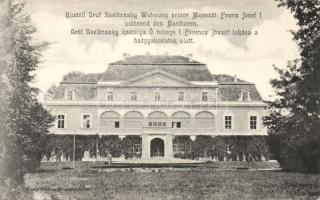 Lippa Zselénszky castle