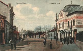 Beregszász Andrássy street spa (EK)