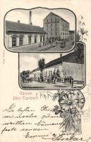 Bácstopolya with the steam mill of Károly Sztrek and the shop of Mátyás Hegovits