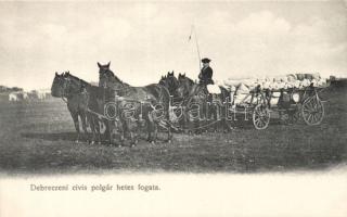 Debrecen cívis polgár hetes fogata