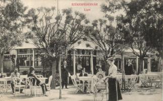 Székesfehérvár liget