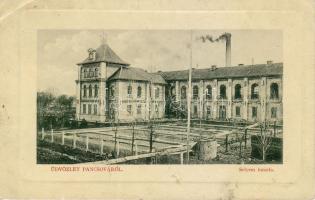 Pancsova  Schiedespinnerei