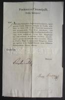 1808 Helytartótanácsi levél kereskedelmi rendelet kihirdetéséről József nádor és Darvas Ferenc költő, saját kezű aláírásával 7 oldal latin és német nyelven / Ex offo letter of the Governing council announcing commercial order, signed by Joseph Palatin and Franz Darvas 7 pages in Latin and German