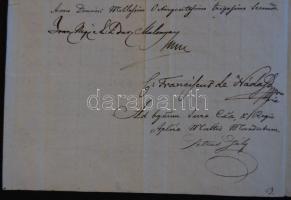 1832 Helytartótanácsi levél Malonyay János Alajos kir. ajtónálló és alkancellár, Nyitra megye főispá...