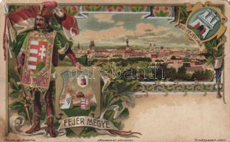 Székesfehérvár, Fejér megye litho