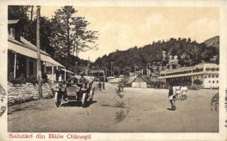 Baile Olanesti with automobile