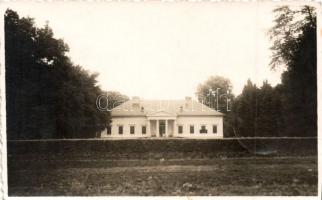 Dunacséb (around Palánka) castle