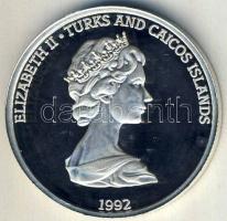 Turks & Caicos 1992. 20C Ag "500 éve fedezte fel Kolumbusz az Újvilágot-Szárazföld megpilla...