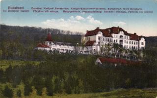 Budakeszi Erzsébet Királyné Szanatórium