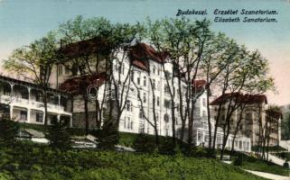Budakeszi Erzsébet Királyné Szanatórium
