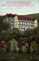 Budakeszi Erzsébet Királyné Szanatórium