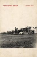 Károlyi Erdőd main street