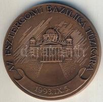 1993. "Az Esztergomi Bazilika tűzkára-Köszönettel a nagylelkű segítségért" Br emlékérem. Szign.Bozó T:1