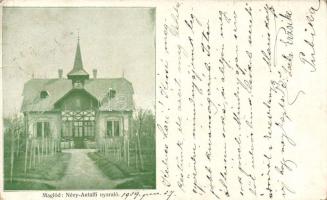 Maglód Névy-Antalfi nyaraló (Rb)