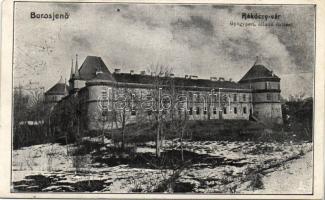 Borosjenő Rákóczi castle, special educational institute (cut)