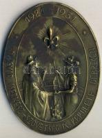 1921-1931. Debrecen IX. kerületi Cserkész-Szövetségének Br emlékplakettje T:2 foltos