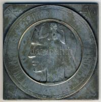 1912. Budapesti Kárpitos Ipartestület személyre szóló fém plakettje. Szign: Murányi T:3 k.