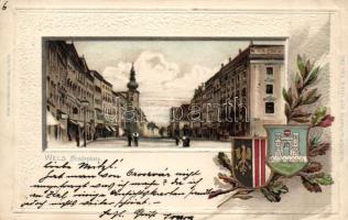 Vienna with coat of arms Emb. litho (EK)