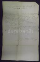 1853 gróf Batthyány Imre főispán saját kézzel írt és aláírt levele a királyi ügy igazgatónak az Almásy Józsefnének és rokonainak kifizetett járandóságok ügyében 4kr bélyeggel "ALBA" - Pesth / autograph letter of bailiff duke Imre Batthyány to the main royal administrator 4kr "ALBA" - Pesth