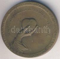 1936. Magyar Reformátusok Kálvin Institúciójának 400 éves emlékére kiadott Br emlékérem T:2