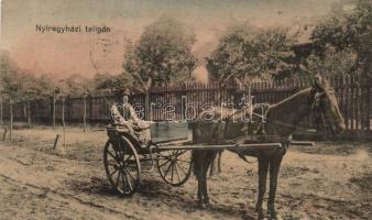 Nyíregyháza taligás