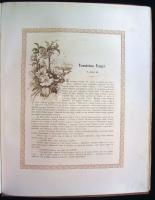 Fouqué, de la Motte: Undine. Rege. ford.: Ábrányi Emil és ifj. Ábrányi Kornél. Hoeppner Gyula kilenc...