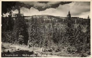 Hargita-fürdő Medve gödör tető (EK)