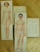 Bilz, F. E. - Az új természetes gyógymód. I-II. Bp., é.n. A szerző. 2073 p. Aranyozott félvászon köt...