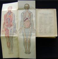 Bilz, F. E. - Az új természetes gyógymód. I-II. Bp., é.n. A szerző. 2073 p. Aranyozott félvászon köt...