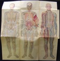 Bilz, F. E. - Az új természetes gyógymód. I-II. Bp., é.n. A szerző. 2073 p. Aranyozott félvászon köt...