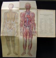 Bilz, F. E. - Az új természetes gyógymód. I-II. Bp., é.n. A szerző. 2073 p. Aranyozott félvászon köt...