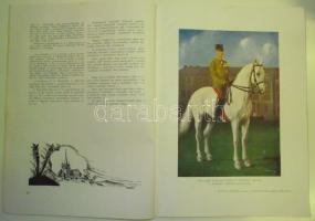 1940 Ludovikás Évkönyv jó állapotban 87p sok színes képpel és ábrával