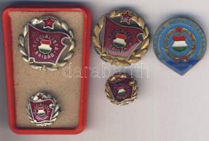 3db különféle szocialista kitüntetés: szocialista brigád két fokozata + a Magyar Népköztársaság Kisdobosa T:2