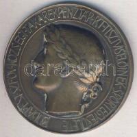 1929. Budapest Székesfőváros Takarékpénztár Tisztviselőinek Egyesülete II. díjérme (1938-as adományozás). Szign: Erdey Dezső T:2+