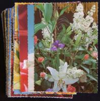 130 db megíratlan modern Virágos üdvözlőlap / 130 unused Flower Greeting Cards