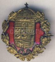 Régi magyar címert ábrázoló zománcozott kitűző  T:2