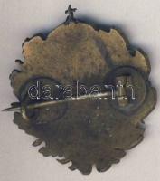 Régi magyar címert ábrázoló zománcozott kitűző  T:2